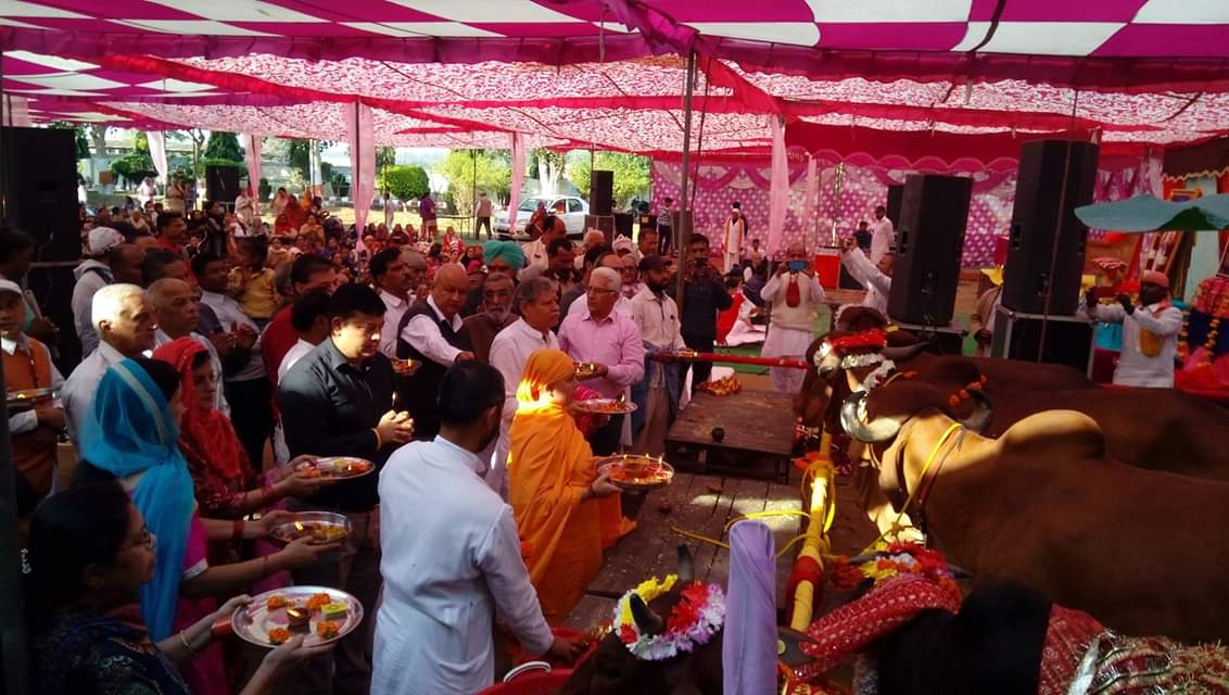 You are currently viewing देश भर में संत श्री आशारामजी बापू आश्रमों में मनाया गया गोपाष्टमी महोत्सव, हज़ारों गायों का हुआ पूजन