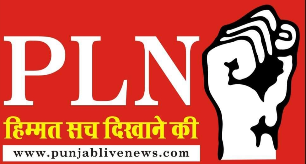 PLN- PUNJAB LIVE 