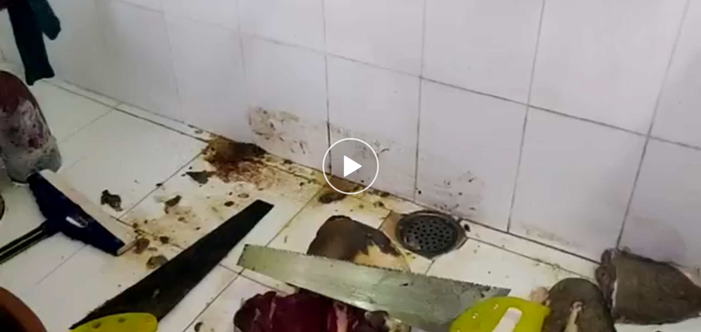 You are currently viewing Video देखें – नोकर की हत्या कर डॉक्टर कर रहा था लाश के 500 टुकड़े,  बाथरूम से लाश के टुकड़े चार आरियां एसिड बरामद