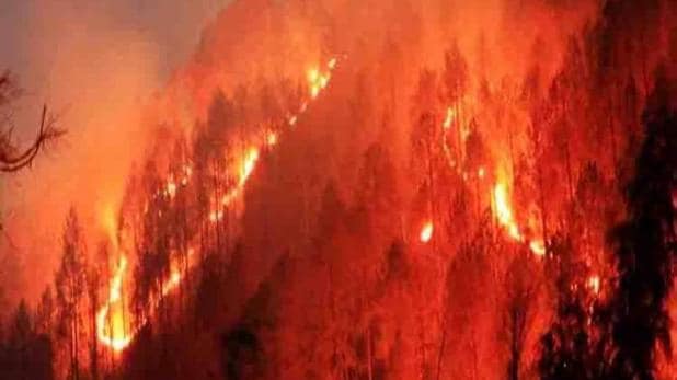 You are currently viewing जंगल-जंगल आग लगी है, उत्तराखंड में इन दिनों जंगल की आग विकराल रूप धारण कर रही, साल में लाखों बार लगी है… जाने क्या है मामला