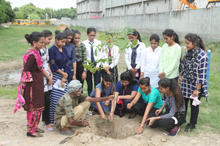 Read more about the article One Student One Tree Drive Organised by Innocent Hearts Group of Institutions
