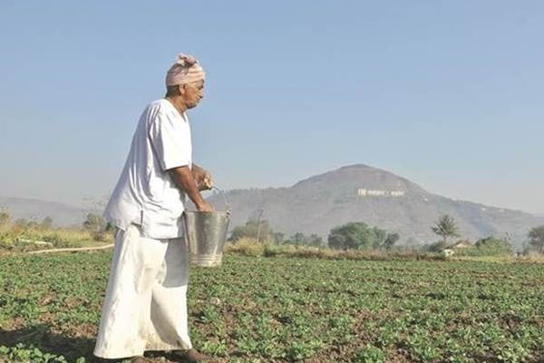 You are currently viewing दिवाली से पहले किसानों को मोदी सरकार का बड़ा तोहफा, पढ़ें