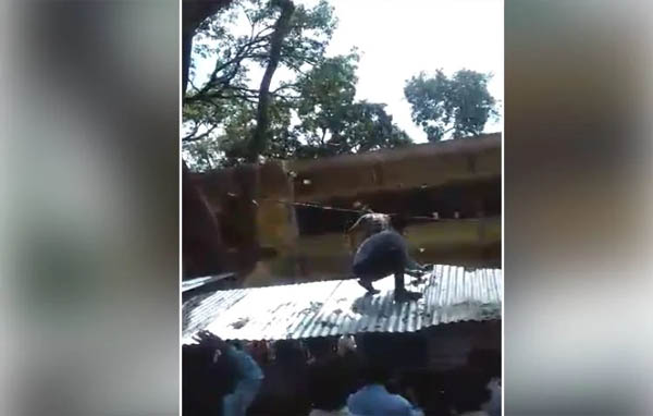 You are currently viewing Video: कोर्ट परिसर में बंदरों ने की नोटों की बारिश, हवा में उड़ाए 65 हजार रुपए, जानिए इस अजीबो गरीब मामले की पूरी जानकारी