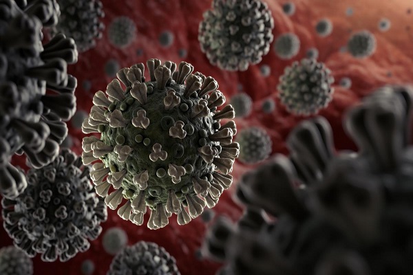 Read more about the article पंजाब में बढ़ा कोरोना वायरस का खौफ, मरीजों की संख्या बढ़कर हुई 13