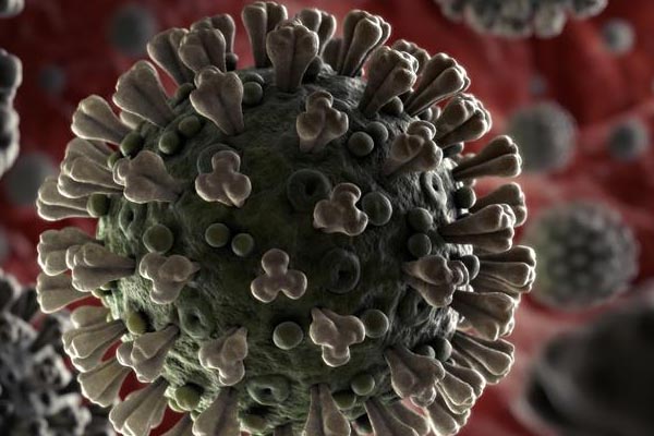 Read more about the article पंजाब: जालंधर में कोरोना वायरस का पांचवा मामला आया सामने, मोहाली में एक और होशियारपुर में मिले तीन पॉजिटिव मरीज, संक्रमितों की संख्या हुई 38