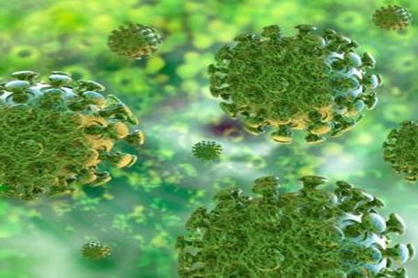 Read more about the article वैज्ञानिक शोध से बड़ा खुलासा, लक्षण दिखने से पहले फैल चुका होता है जानलेवा कोरोना वायरस