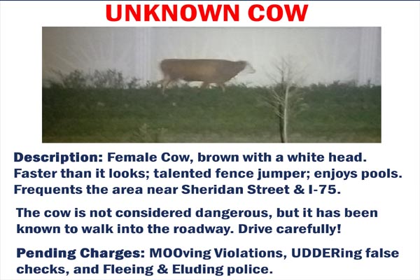 Read more about the article Twitter पर गाय को ढूंढने के लिए पुलिस ने मांगी मदद, कहा- चकमा देने में है एक्सपर्ट