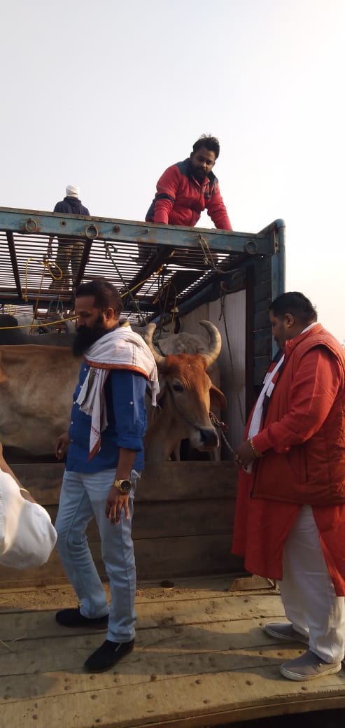 Read more about the article आंखों में मिर्ची और भूख प्यास के दर्द से आंसू बहा रहे थे 15 नंदी. रात भर 10 शहरों में नाकेबंदी के बाद शिव सेना हिन्द और गौ रक्षा दल ने पकड़ा ट्रक, देखें Video और Photo