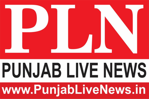 You are currently viewing मशहूर पंजाबी अभिनेता व महाभारत में इंद्रदेव का किरदार निभा चुके इस अभिनेता का निधन, कोरोना से थे संक्रमित