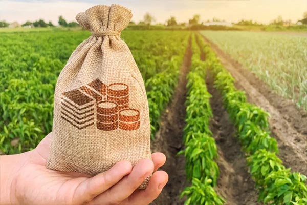 Read more about the article किसानों को केंद्र सरकार का तोहफा, MSP को लेकर किया बड़ा ऐलान