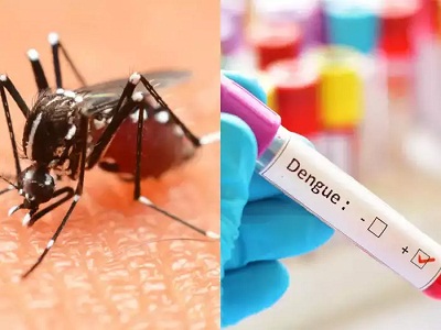 Read more about the article पंजाब में डेंगू मरीजों की गिनती 10 हजार के पार, सिविल सर्जनों को चेतावनी जारी