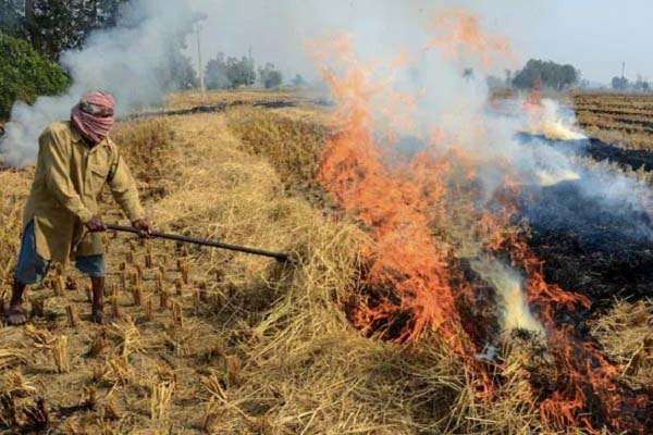 Read more about the article पराली जलाने वाले किसानों पर नरम हुई पंजाब सरकार, पढ़ें क्या कहा