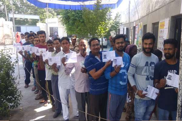 Read more about the article Jalandhar Bypoll: फिल्लौर-शाहकोट में सबसे ज्यादा वोटिंग, यहां सबसे कम- दोपहर 3 बजे तक इतने प्रतिशत हुई मतदान