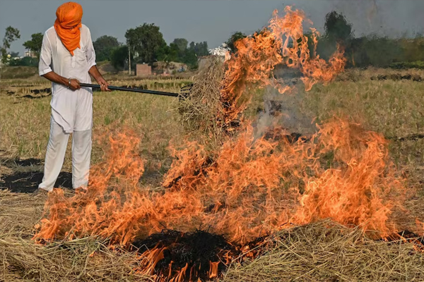 Read more about the article पंजाब में पराली पर सैटेलाइट की नज़र, फिर भी 40% आंकड़े निकले गलत, आखिर क्या है इस धुएं के पीछे का सच?