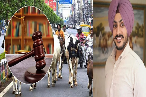 Read more about the article पंजाबी गायक राजवीर जवंदा की मौत के मामले में बड़ा एक्शन, हाईकोर्ट ने सरकार को भेजा नोटिस