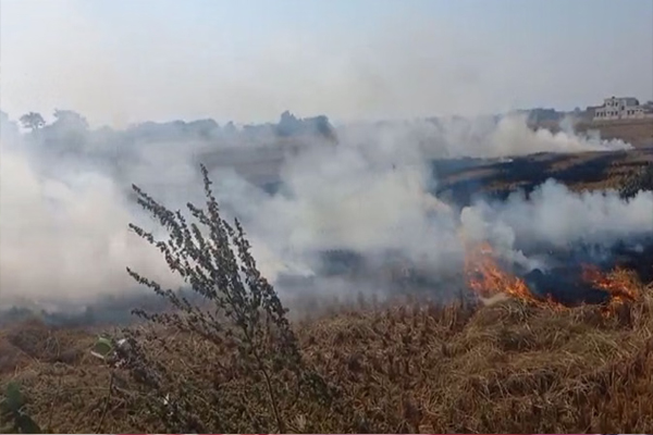 Read more about the article पंजाब में फिर धधकने लगे खेत, हवा में घुला जहर; ये जिले बने हुए हैं सबसे बड़े हॉटस्पॉट