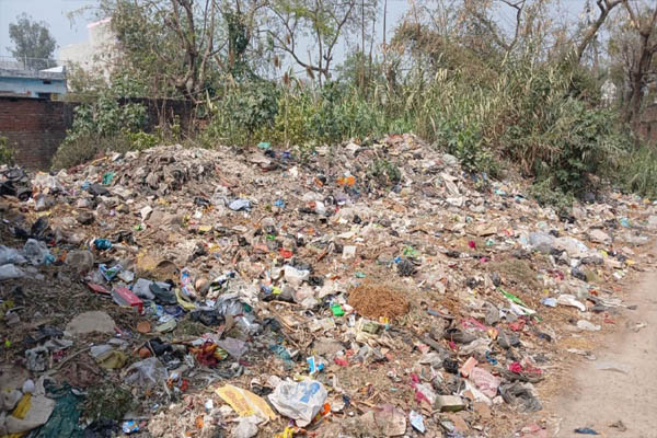 Read more about the article पंजाब में सफाई कर्मियों की हड़ताल पर हाईकोर्ट सख्त, चेतावनी- मानसून में महामारी का खतरा, 22 जुलाई तक पूरे राज्य की मांगी रिपोर्ट