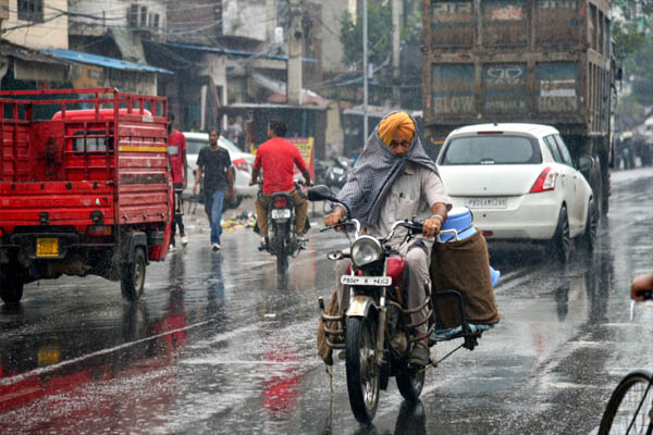 Read more about the article पंजाब में आज भी भारी बारिश का ऑरेंज अलर्ट, 3.9 डिग्री गिरा तापमान; धान की फसल को मिलेगा जबरदस्त फायदा