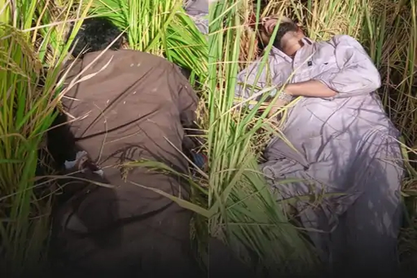 Read more about the article पंजाब सीमा पर BSF का बड़ा एक्शन, तरनतारन में 2 पाकिस्तानी घुसपैठिए ढेर, फायरिंग देख तीसरा वापस भागा; हाई अलर्ट जारी